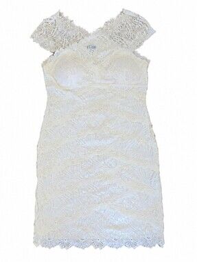 Ivory Stretch Lace Bodycon Dress With Sequins Details - Cream